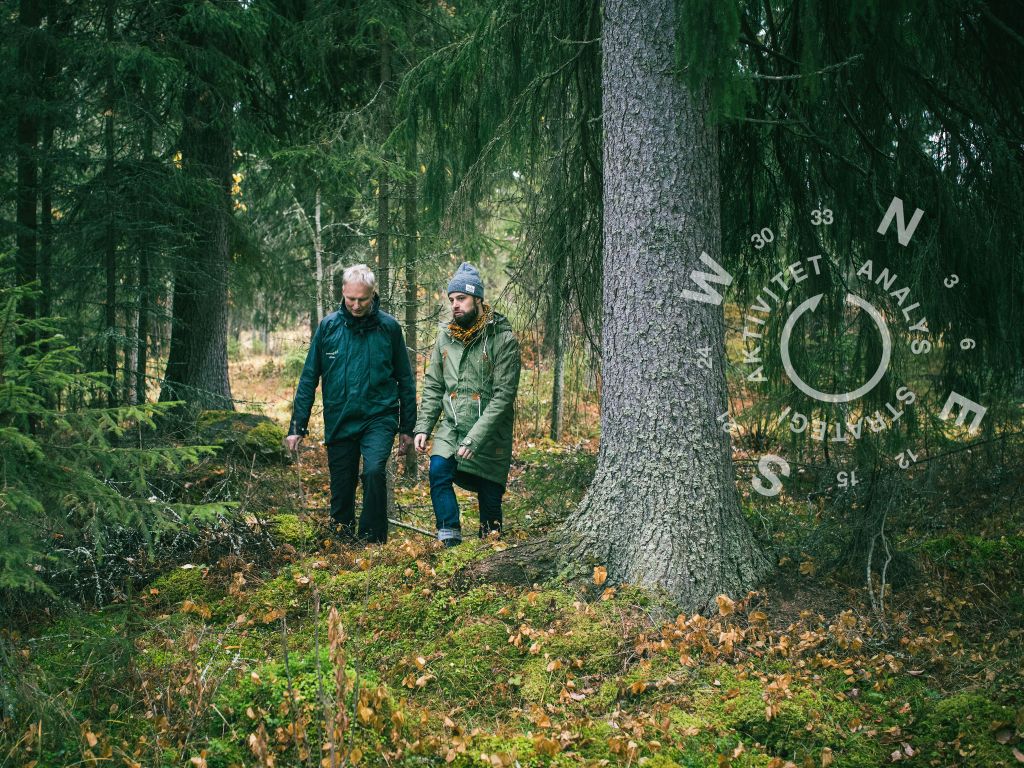 Ta ut riktningen i ditt skogsägande